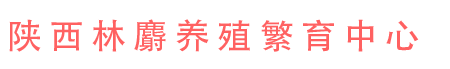 麝|林麝|麝香|林麝養(yǎng)殖|陜西林麝養(yǎng)殖繁育中心